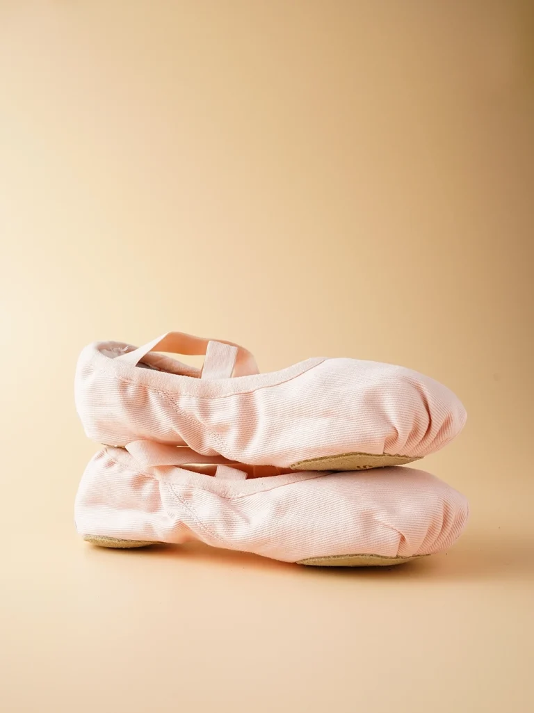Stretch Canvas Professional Dance Shoes