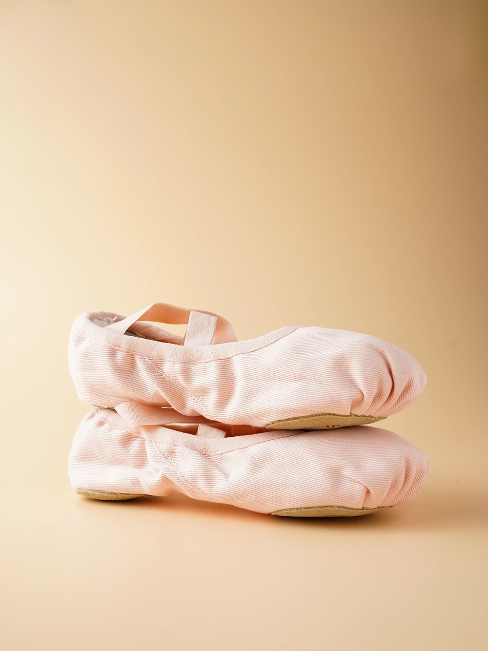 Stretch Canvas Professional Dance Shoes